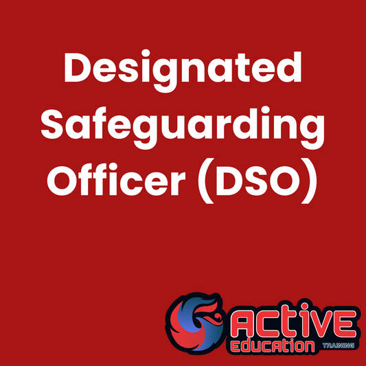 Designated Safeguarding Officer (DSO) Course